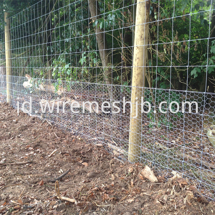 Wire Mesh Fencing